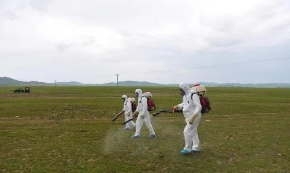 蝗災(zāi)來襲，農(nóng)藥獸藥防偽溯源面臨機(jī)遇和挑戰(zhàn)